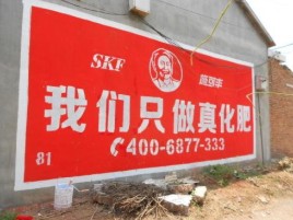 天门刷墙广告”蕴含了时代命题