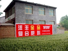 天门如何让墙体广告展现最大化效果