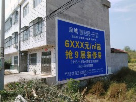 天门墙体广告质量分析