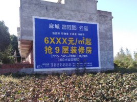 天门品牌公司青睐的墙体广告